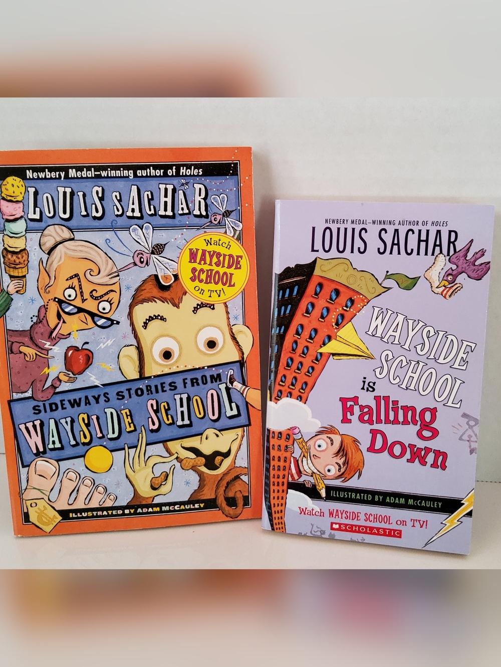 Scholastic Wayside School Book Pair